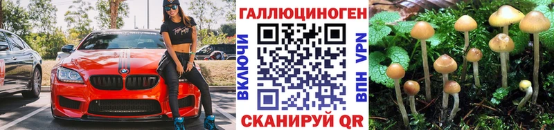 Псилоцибиновые грибы MAGIC MUSHROOMS  дарнет шоп  Нижний Тагил 